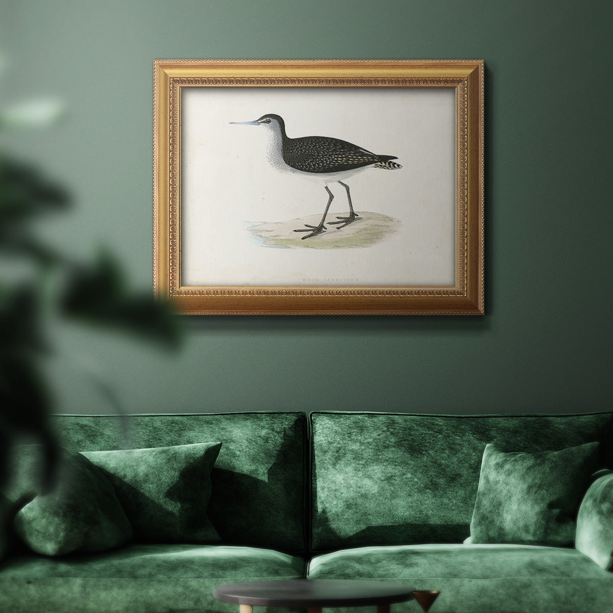 Morris Sandpipers VIII Premium Framed Canvas- Ready to Hang