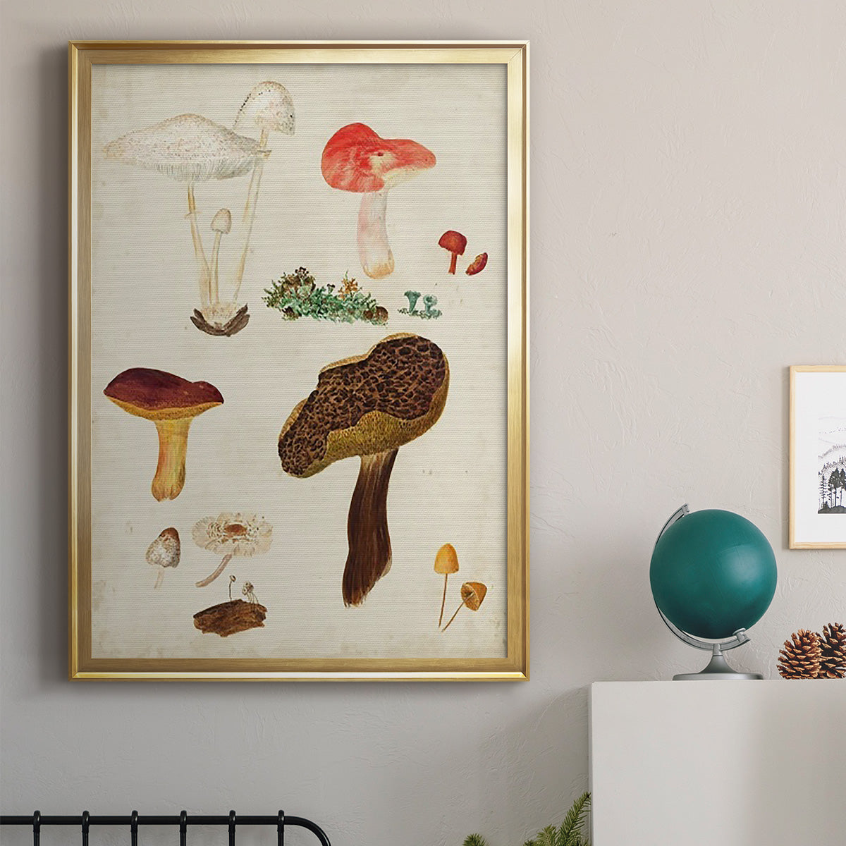 Mushroom Species XI - Modern Framed Canvas Print