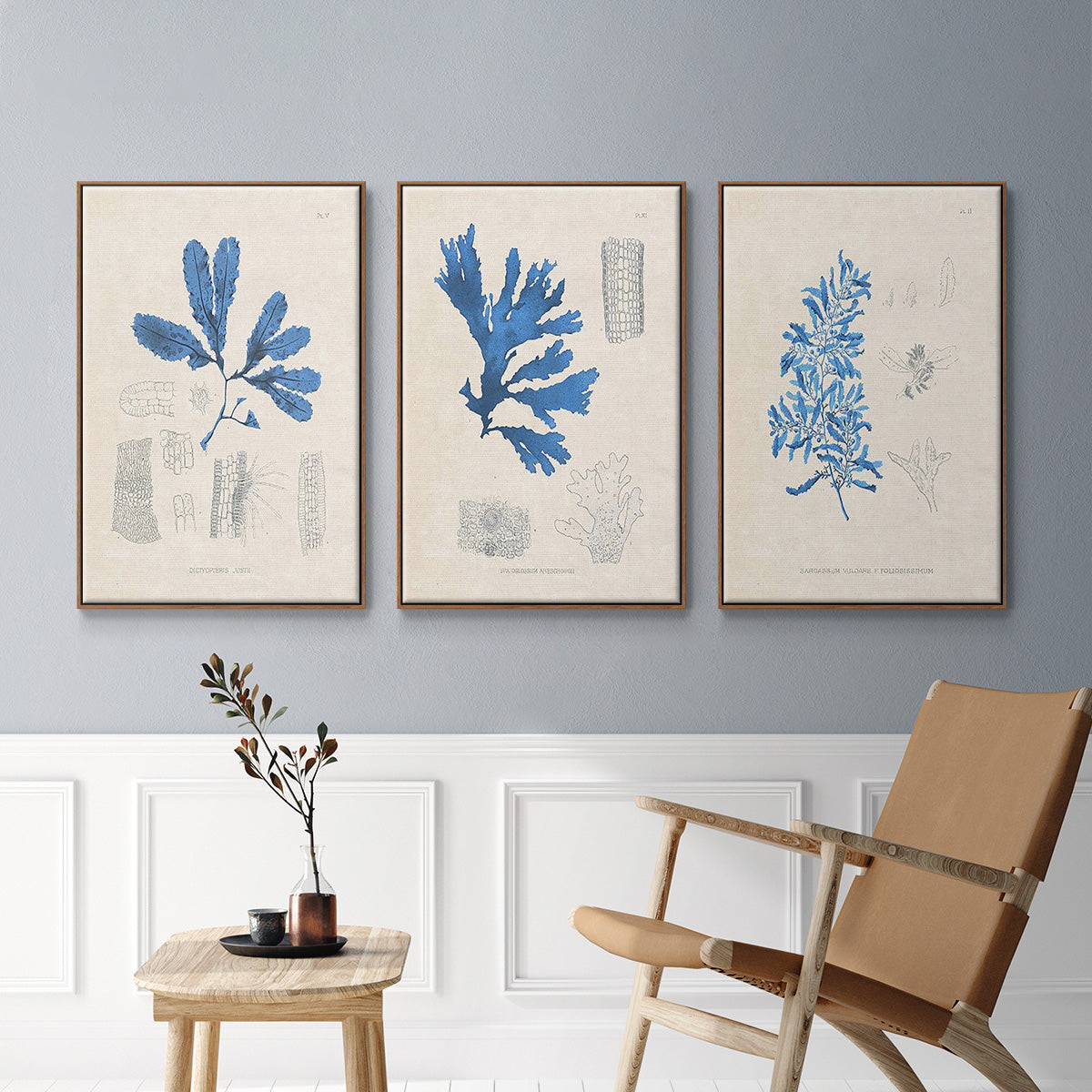 Blue Marine Algae VI - Framed Premium Gallery Wrapped Canvas L Frame 3 Piece Set - Ready to Hang