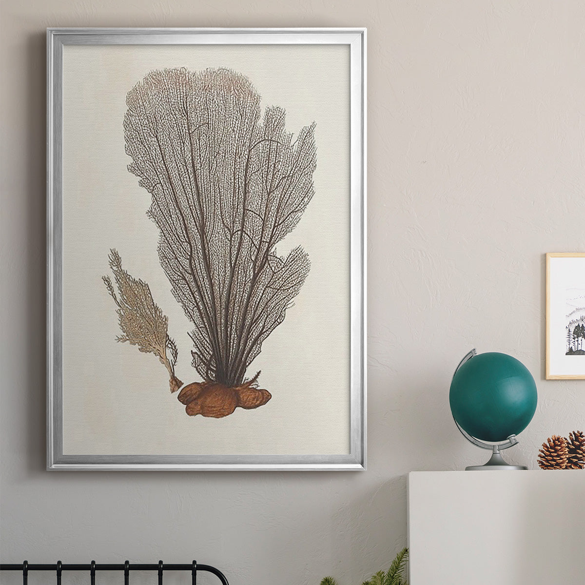 Knorr Shells & Coral III - Modern Framed Canvas Print