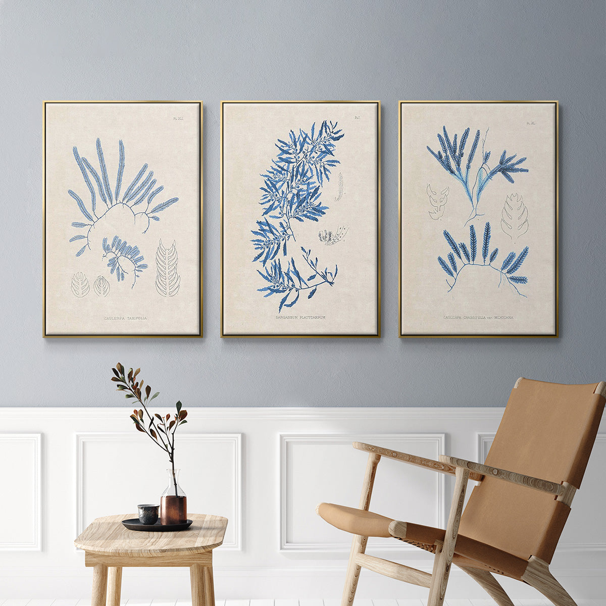 Blue Marine Algae I - Framed Premium Gallery Wrapped Canvas L Frame 3 Piece Set - Ready to Hang