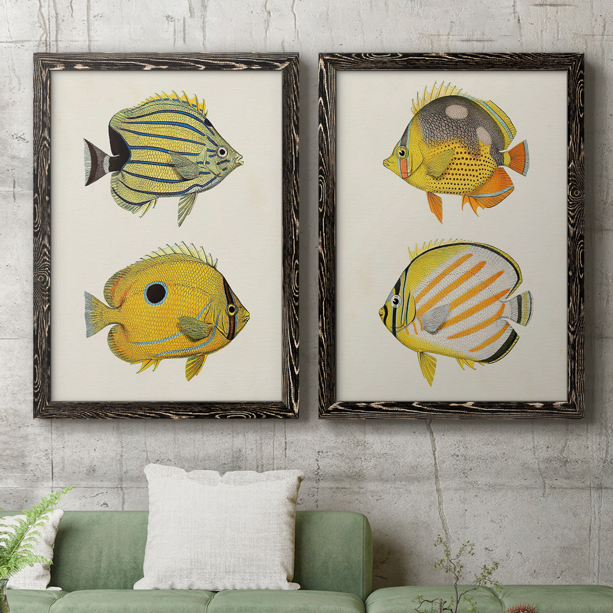 Yellow & Grey Fish III - Premium Framed Canvas 2 Piece Set - Ready to Hang