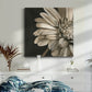 Classical Blooms IV - Canvas Art Print