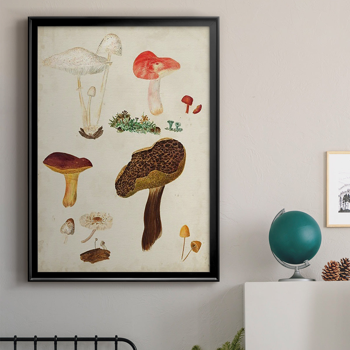 Mushroom Species XI - Modern Framed Canvas Print