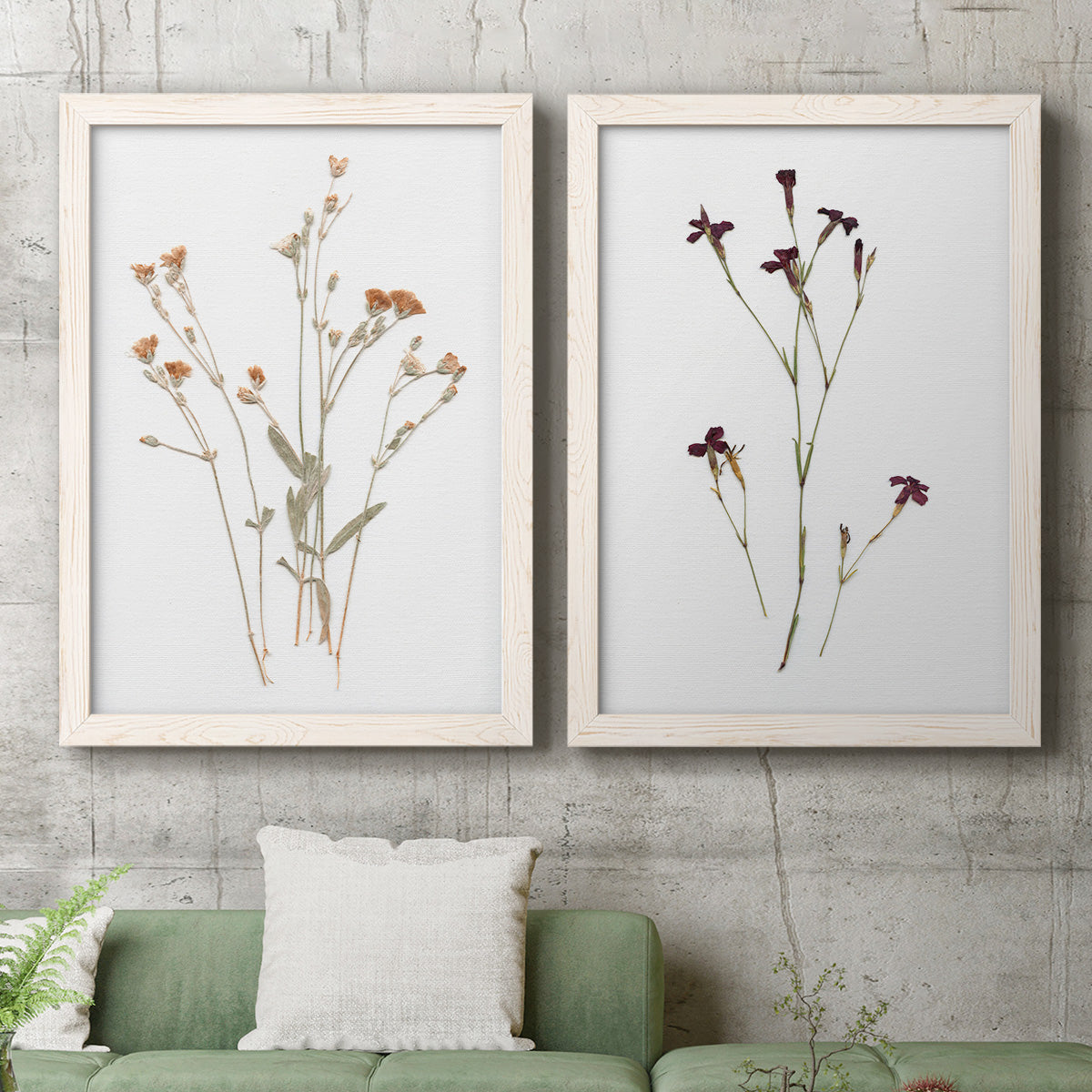 Pressed Botanical I - Premium Framed Canvas 2 Piece Set - Ready to Hang