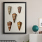 Cone Shell Collection II - Modern Framed Canvas Print