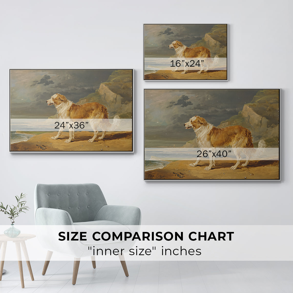 Rough-Coated Collie, 1809 - Floater Framed Canvas Print
