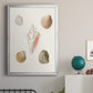 Pastel Knorr Shells IX - Modern Framed Canvas Print