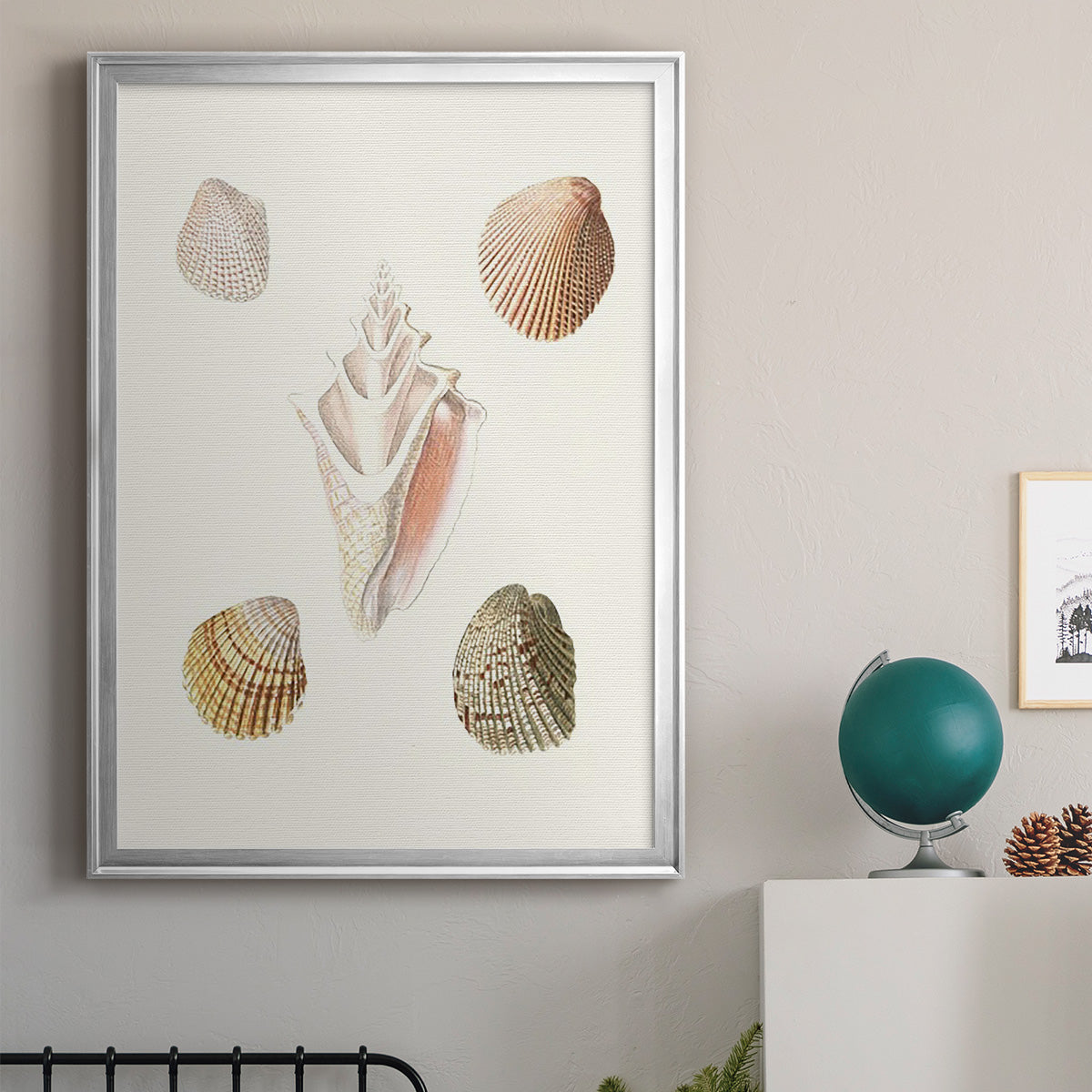 Pastel Knorr Shells IX - Modern Framed Canvas Print