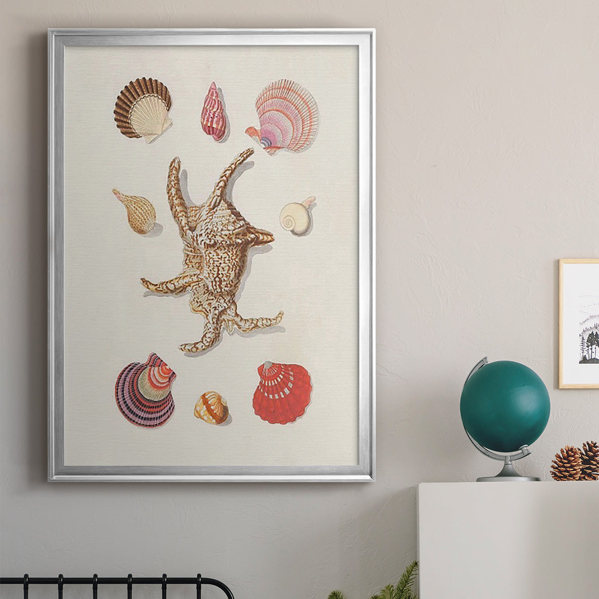 Knorr Shells & Coral II - Modern Framed Canvas Print