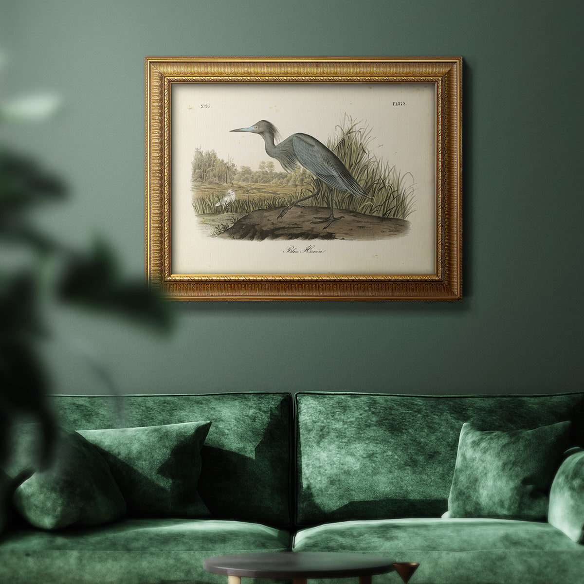 Audubons Blue Heron Premium Framed Canvas- Ready to Hang