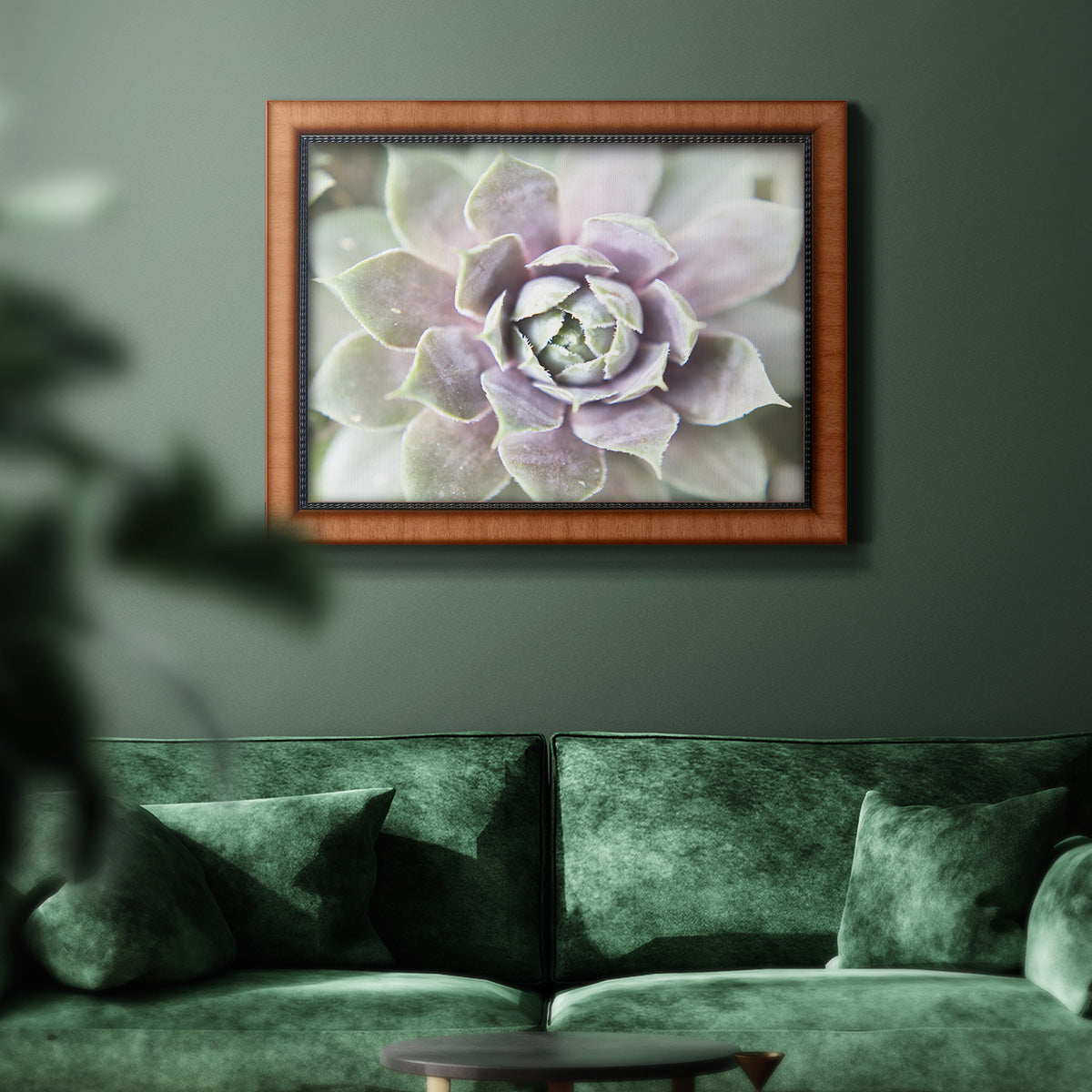 Succulent Glow II - Ornate Framed Canvas Print