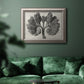 Monochrome botanical plant study photograph by Karl Blossfeldt in an ornate vintage silver frame displayed in a dark-toned interior setting.