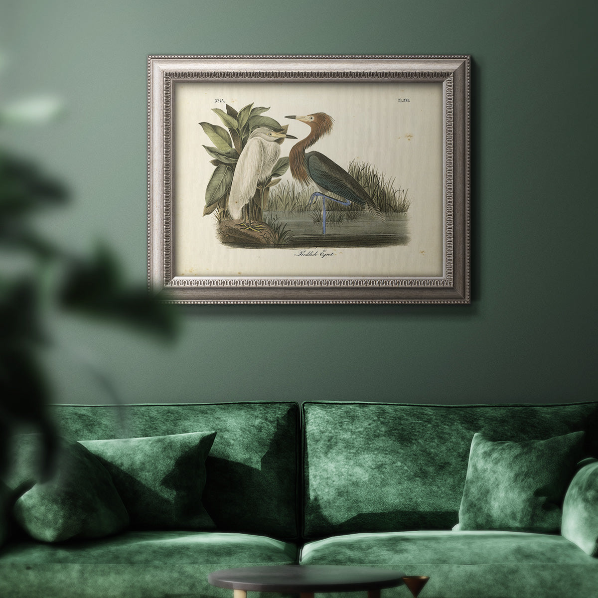 Antique reddish egret bird illustration by John James Audubon in an ornate vintage silver frame displayed in a dark-toned interior setting.