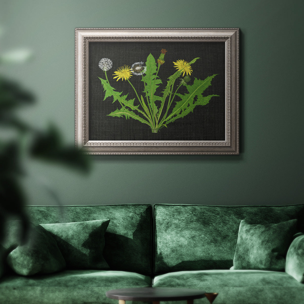 Vintage botanical dandelion flower illustration in an ornate vintage silver frame displayed in a dark-toned interior setting.