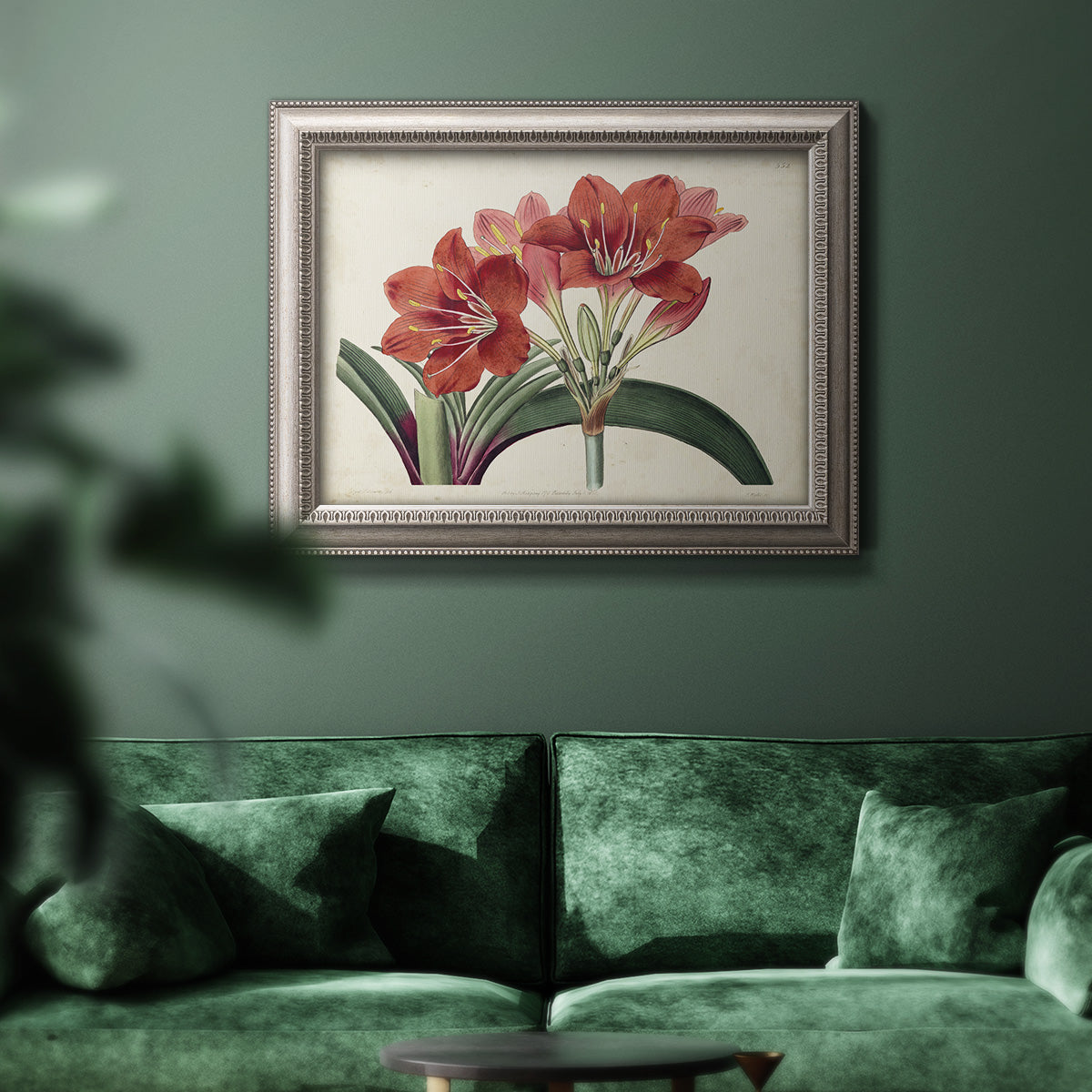 Vintage amaryllis botanical illustration in an ornate vintage silver frame displayed in a dark-toned interior setting.