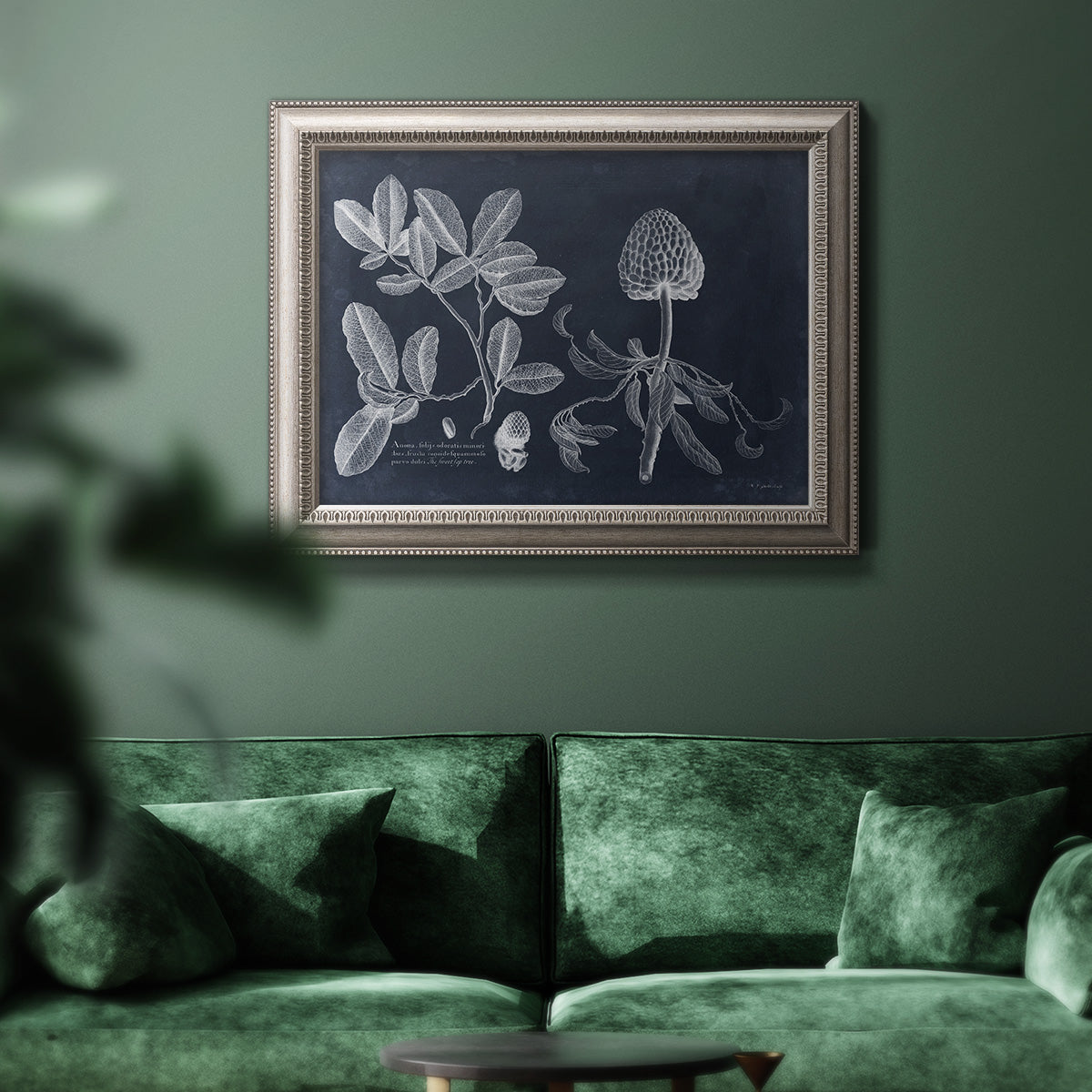 Antique botanical foliage illustration on navy background in an ornate vintage silver frame displayed in a dark-toned interior setting.