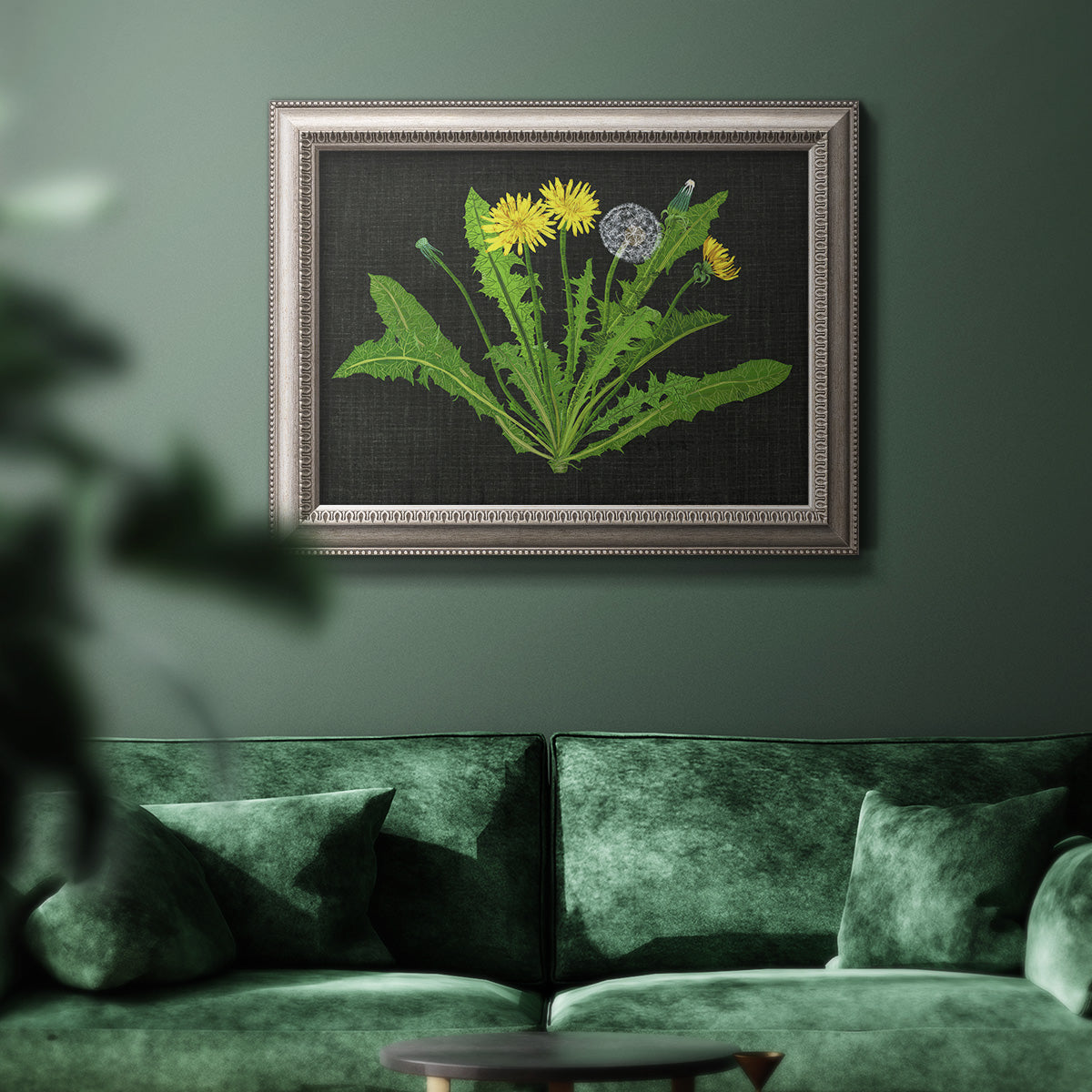 Classic botanical dandelion illustration in an ornate vintage silver frame displayed in a dark-toned interior setting.