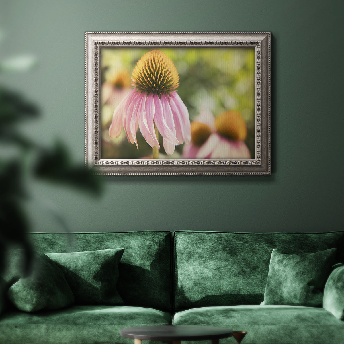 Close-up echinacea bloom photography in an ornate vintage silver frame displayed in a dark-toned interior setting.