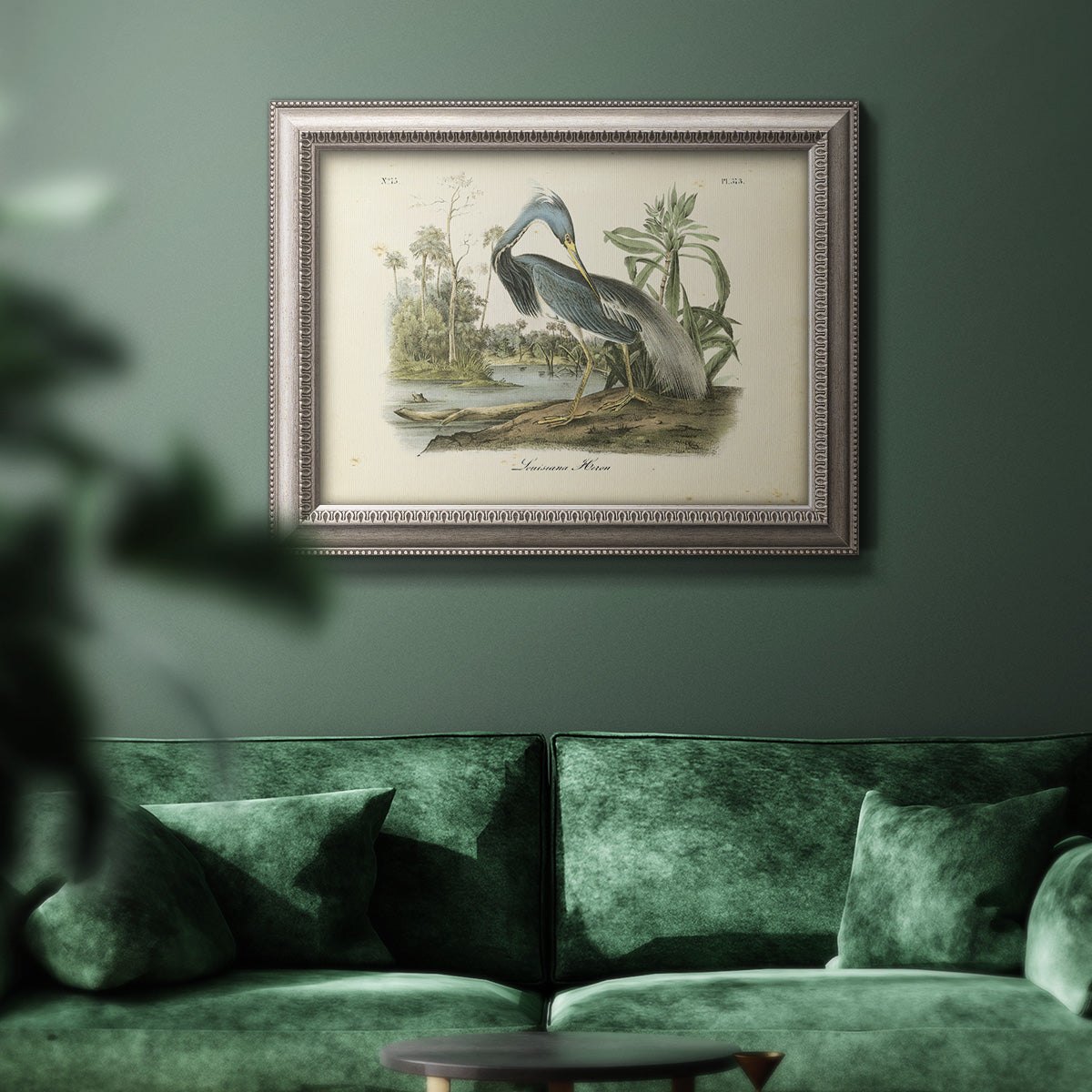 Antique Louisiana heron bird illustration by John James Audubon in an ornate vintage silver frame displayed in a dark-toned interior setting.