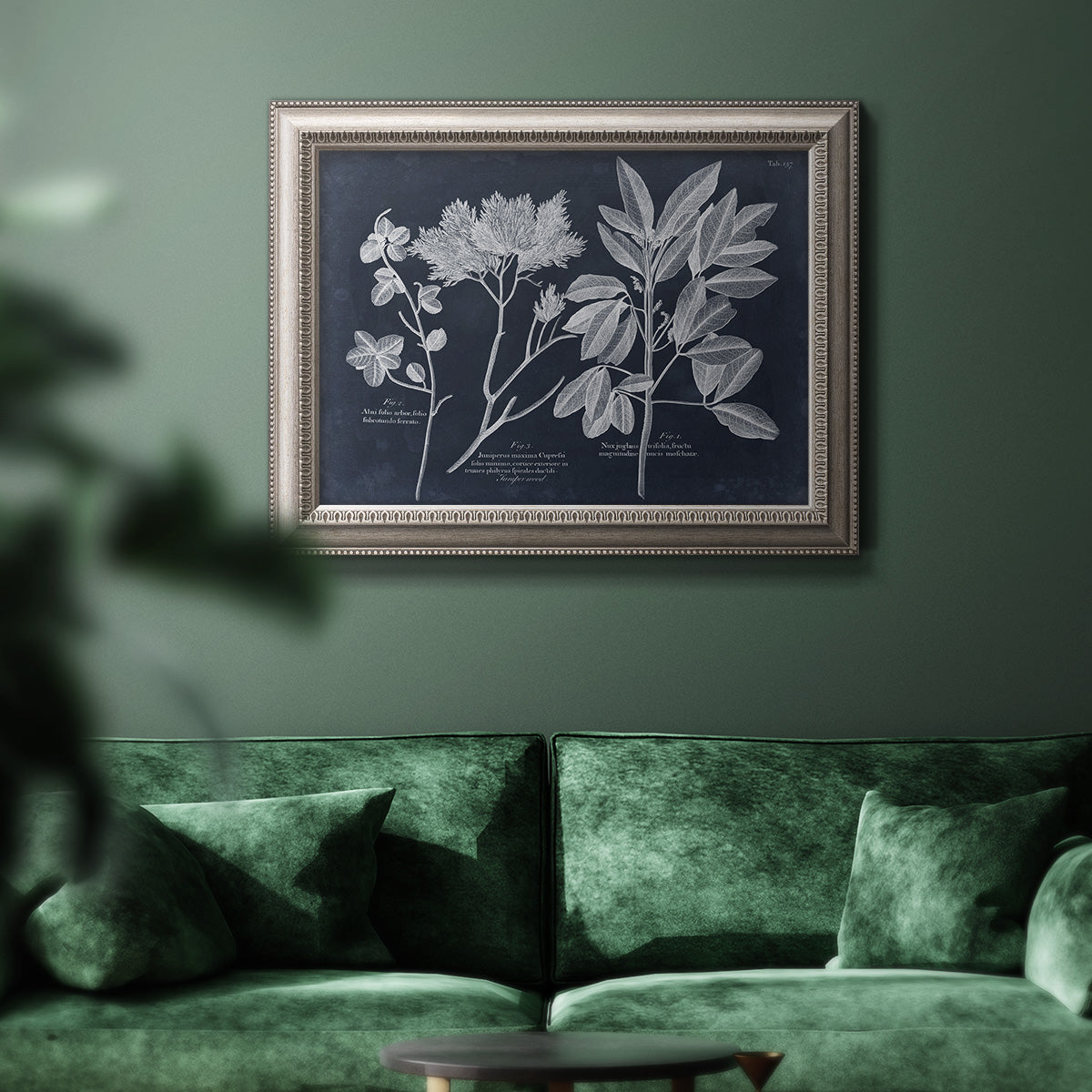 Vintage botanical leaf illustration on dark background in an ornate vintage silver frame displayed in a dark-toned interior setting.