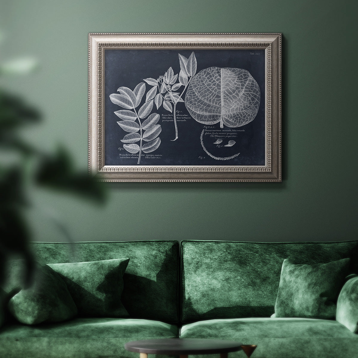 Vintage botanical foliage illustration on navy background in an ornate vintage silver frame displayed in a dark-toned interior setting.