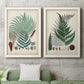 Collected Ferns I - Premium Framed Canvas 2 Piece Set - Ready to Hang