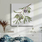 Olive Branch I - Canvas Art Print