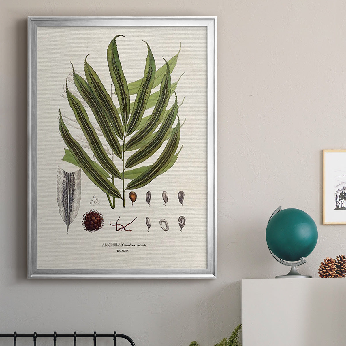 Botanical Society Ferns II - Modern Framed Canvas Print