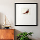 Pheasant Splash 4 Premium Framed Print Double Matboard