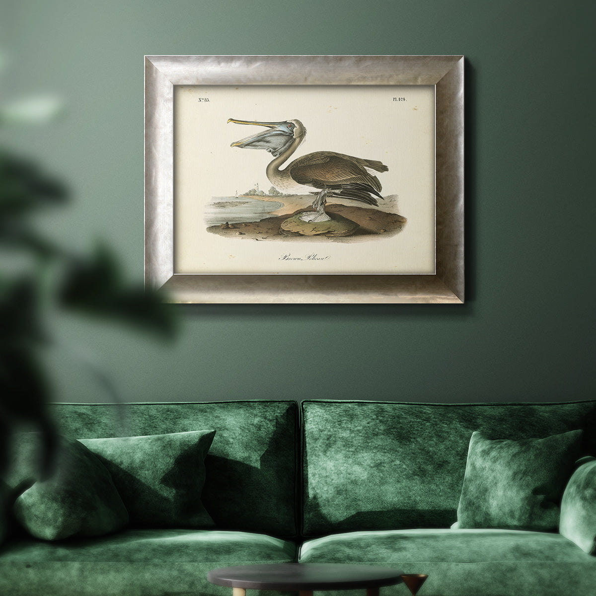 Audubons Brown Pelican - Ornate Framed Canvas Print