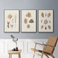 Knorr Shells & Coral VI - Framed Premium Gallery Wrapped Canvas L Frame 3 Piece Set - Ready to Hang