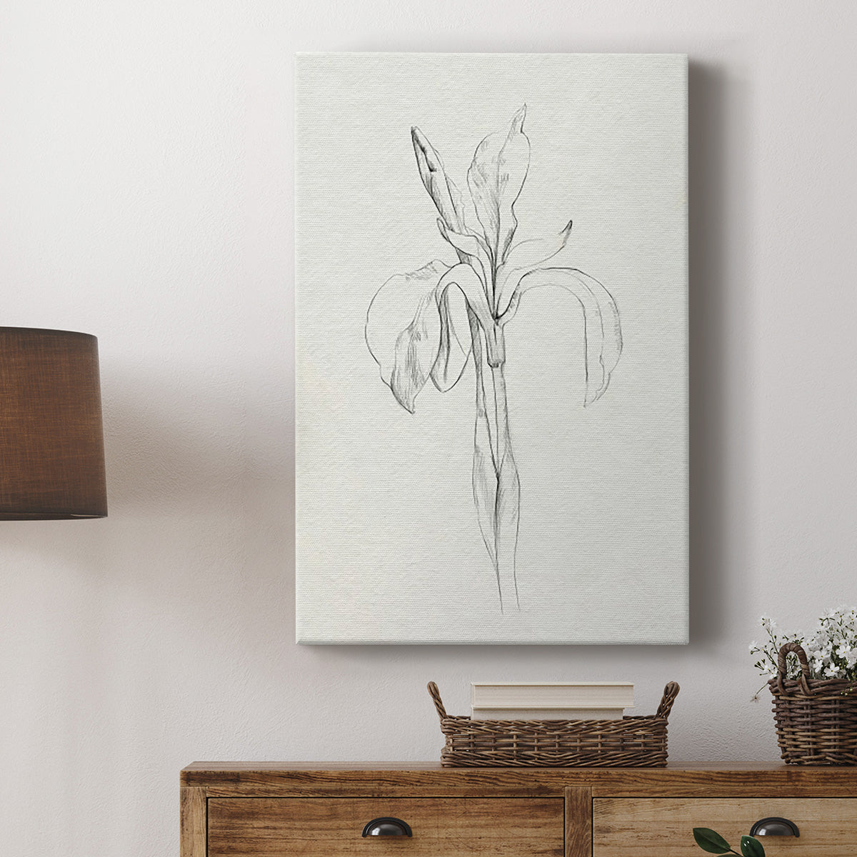 Neutral Iris Sketch II - Canvas Art Print