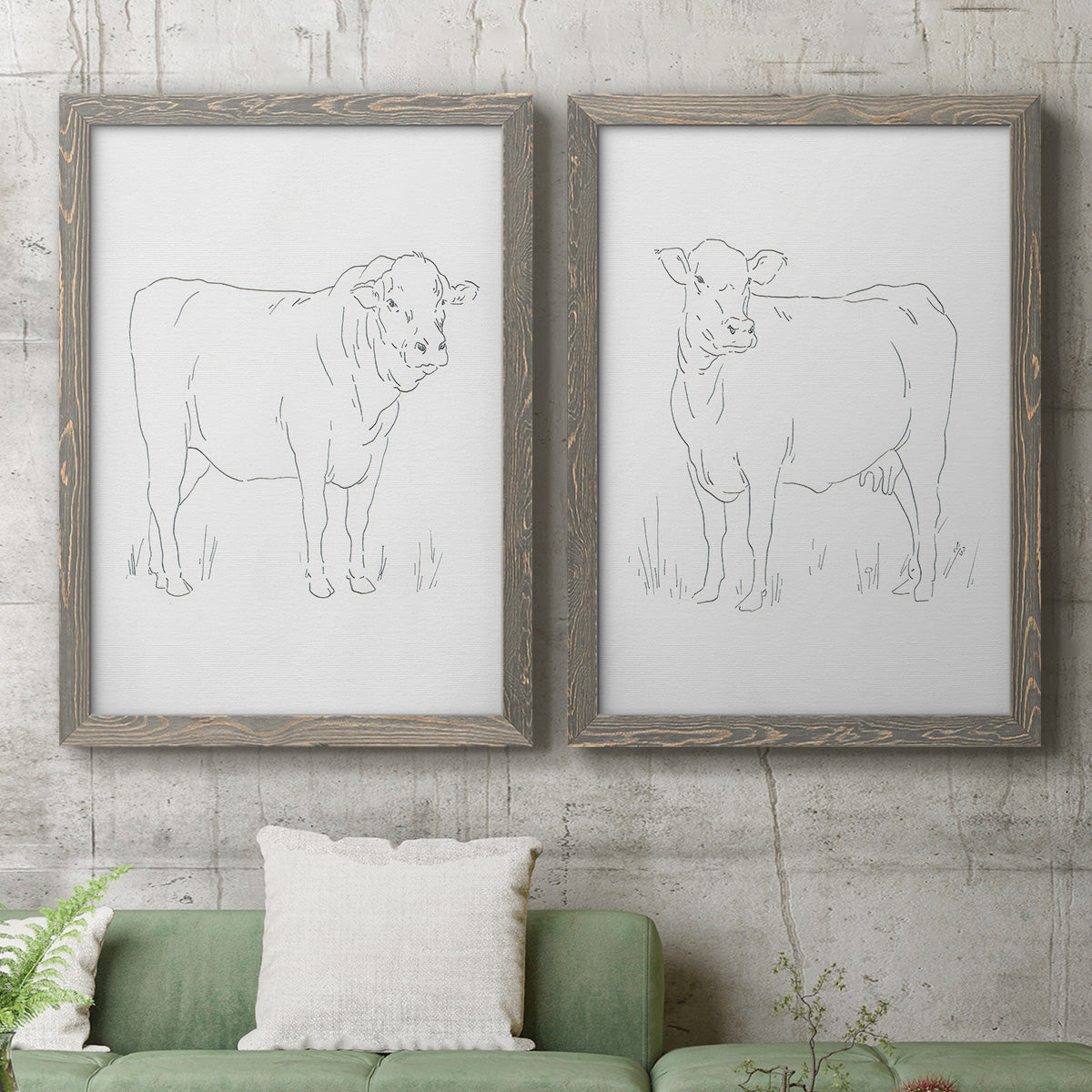 Set of two gray barnwood framed canvas prints depicting a coordinated art pair of simple contour drawings of standing cows rendered as minimalist livestock sketches above a sofa in a modern living room.