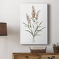 Dainty Botanical I - Canvas Art Print