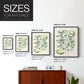 Buchoz Tropicals III - Restickable Framed Art Print