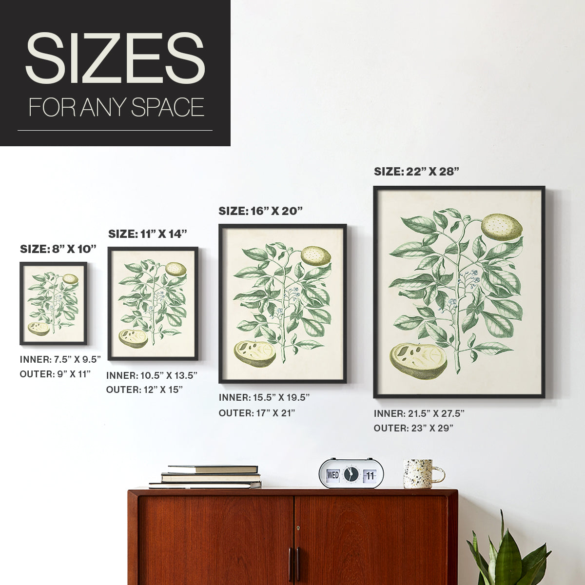 Buchoz Tropicals III - Restickable Framed Art Print