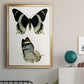 Antique Blue Butterflies I - Modern Framed Canvas Print