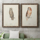 Scops- Eared Owl - Premium Framed Canvas 2 Piece Set - Ready to Hang