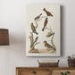 Antique Birds in Nature II Premium Gallery Wrapped Canvas - Ready to Hang