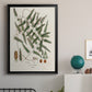 Botanical Society Ferns X - Modern Framed Canvas Print