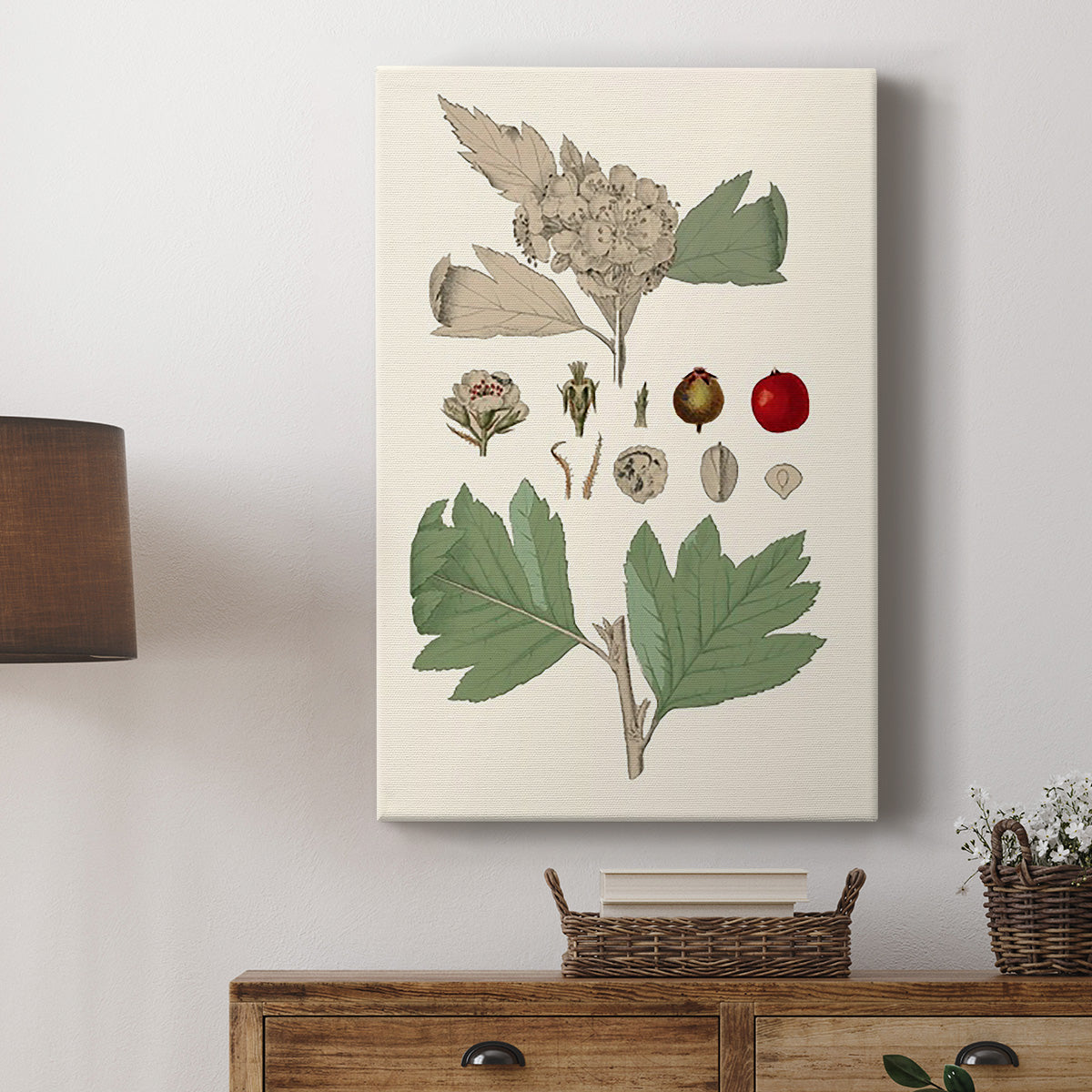 Leaves & Berries IV - Canvas Art Print