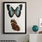 Antique Blue Butterflies IV - Modern Framed Canvas Print