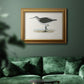 Morris Sandpipers VI Premium Framed Canvas- Ready to Hang