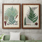 Collected Ferns I - Premium Framed Canvas 2 Piece Set - Ready to Hang