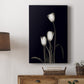 Tulip Pose III - Canvas Art Print