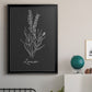 Scent Garden II - Modern Framed Canvas Print