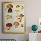 Mushroom Species II - Modern Framed Canvas Print