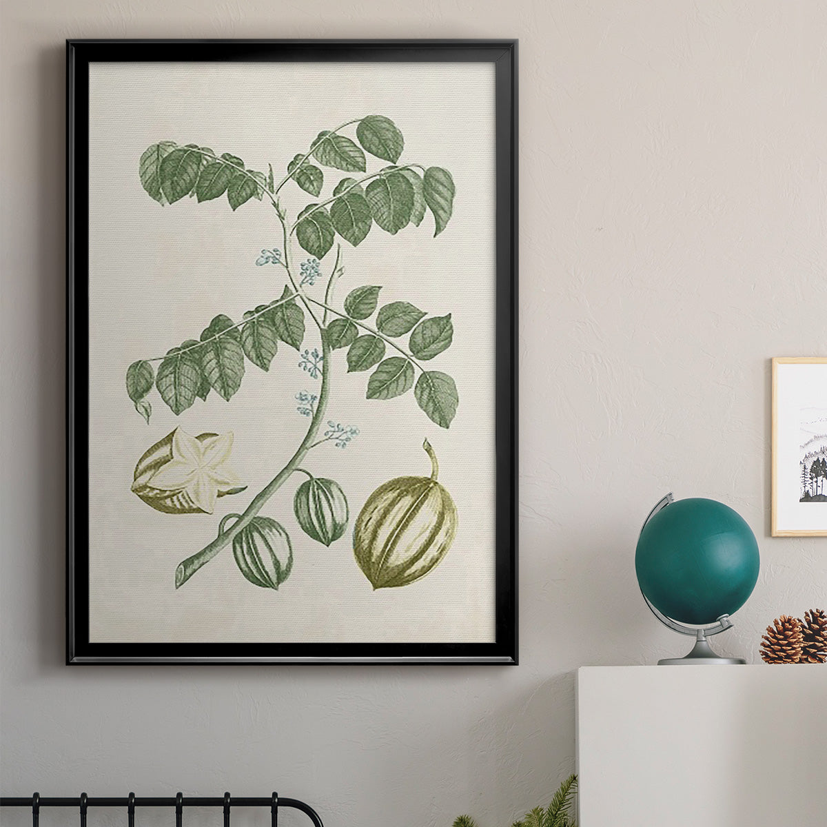 Buchoz Tropicals II - Modern Framed Canvas Print