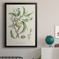 Antique Almond Botanical IV - Modern Framed Canvas Print